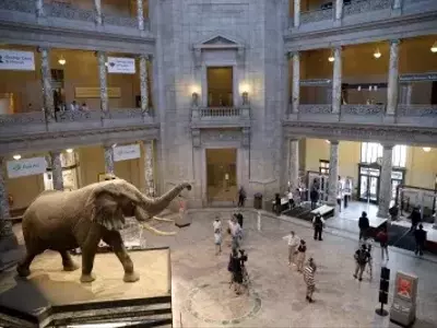 Cultural Institutions Reopen After Government Shutdown
