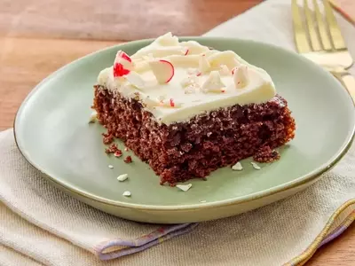 The Ultimate Chocolate-Mint Celebration Cake