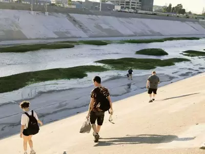 Guerrilla Gardener Creates Pop-Up Wetland in LA River
