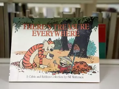 Celebrating Four Decades of Calvin and Hobbes' Enduring Legacy