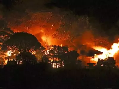Devastating Fire Ravages Japanese Coastal Town, Leaving Homes in Ruins
