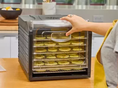 The Ultimate Guide to Food Dehydrators
