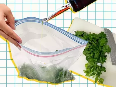Mastering Herb Preservation: A Guide to Freezing Fresh Herbs in Oil
