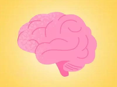 Weight Management and Brain Health: A New Perspective
