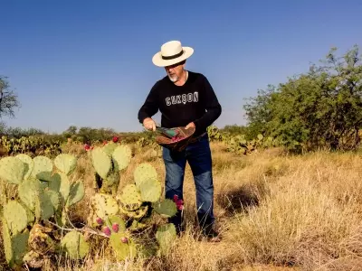 Tucson: A Culinary Journey Through the Sonoran Desert