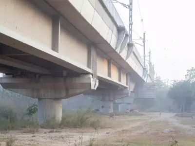 India's Air Pollution Crisis: A Winter of Despair