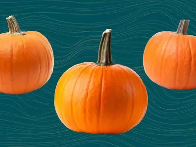 The Comprehensive Guide to Pumpkin: Health Benefits, Nutrition, and Culinary Uses