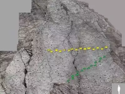 Ancient Dinosaur Tracks Uncovered Near Italian Winter Olympic Sites