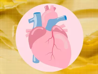 Exploring Butter's Impact on Cardiovascular Health: A Detailed Analysis