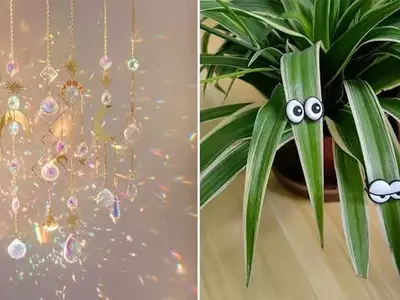 Whimsical Wonders: Budget-Friendly Charms for Every Home