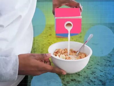 Top-Rated Protein-Packed Cereals for a Nutritious Start
