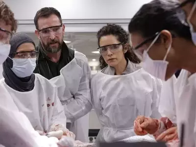 Realism of "The Pitt" Resonates with Medical Professionals