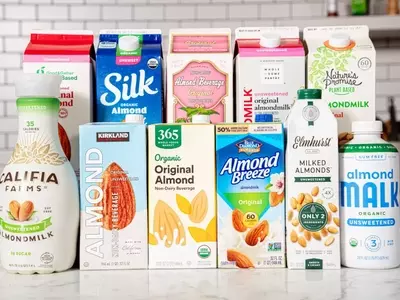 The Ultimate Guide to Choosing the Best Oat Milk for Your Everyday Needs