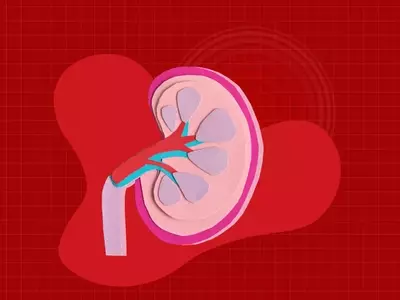 The Hidden Risk of Excessive Electrolyte Drink Consumption for Kidney Health