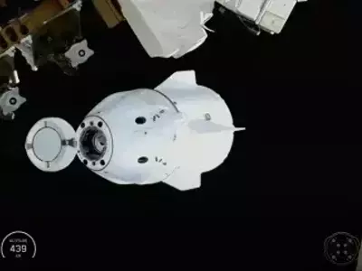 Early Return for NASA's Crew-11 Mission Due to Medical Emergency