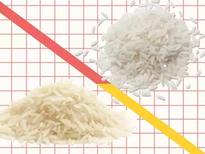 Basmati vs. Jasmine Rice: Unraveling the Distinct Characteristics of Aromatic Grains