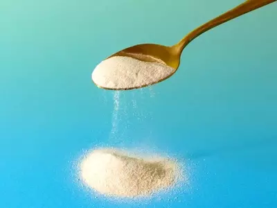 The Comprehensive Guide to Fiber Supplements