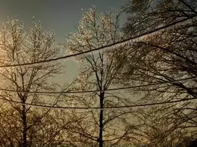 Ice Storms: Understanding the Hazards and Preparing for Impact