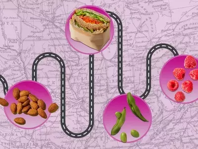 The Indispensable Nutrient for Travelers: Fiber's Crucial Role in Maintaining Health
