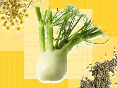 Exploring Fennel: A Culinary Guide to Its Versatility and Uses