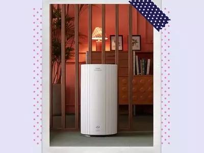Leading Air Purifier Brands Recognized in 2026 Readers' Choice Awards