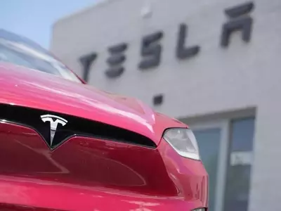 Tesla's Shifting Strategy: From EV Leader to AI and Robotics Pioneer Amidst Profit Slump