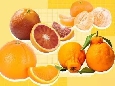 A Comprehensive Guide to Orange Varieties