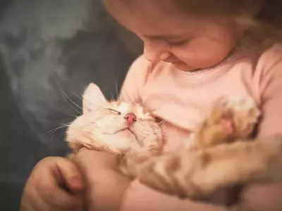 From Feline Focus to Family Harmony: A Parent's Journey with Pets and Child