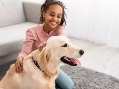 Choosing the Perfect Canine Companion for Families with Children