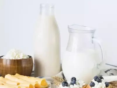 The Nutritional Power of Dairy: Essential Products for a Balanced Diet