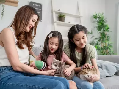 Evolving Parental Approaches: The 'Cat vs. Dog' Philosophy