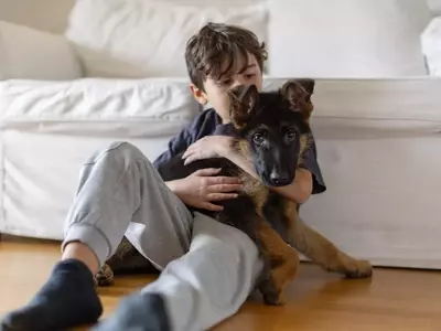 The Journey of Welcoming a Pet: Addressing a Child's Desire for Companionship