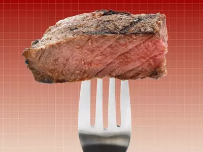 Understanding the Carnivore Diet: A Critical Review of Health Impacts