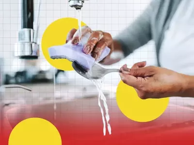 Hidden Dangers in Your Kitchen: Everyday Items Threatening Your Health