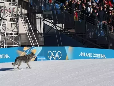 Unexpected Canine Interruption at Winter Olympics Cross-Country Event