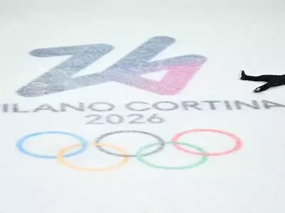 A Viewer's Guide to the Winter Olympics: Insights from Every Sport