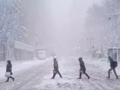 Northeastern U.S. Grapples with Massive Winter Storm Disrupting Travel