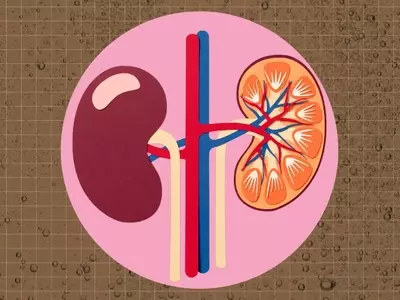 The Impact of Dark Sodas on Kidney Health