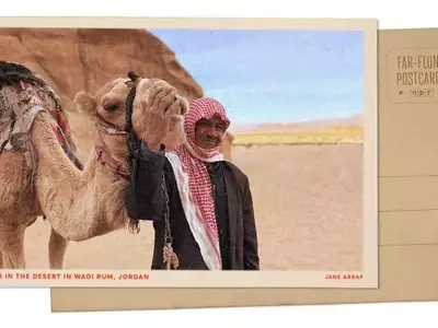 Wadi Rum Blooms: A Desert Transformed by Winter Rains