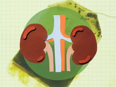 Green Tea: A Potent Ally for Kidney Wellness