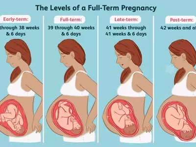 The Importance of Full-Term Pregnancy for Baby's Development