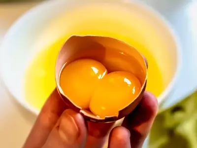 The Enigmatic World of Double-Yolked Eggs
