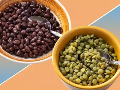 Beans vs. Lentils: Which is Easier to Digest?