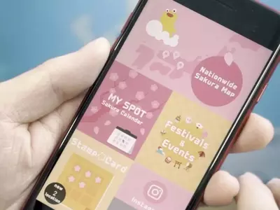 AI Revolutionizes Cherry Blossom Forecasts in Japan