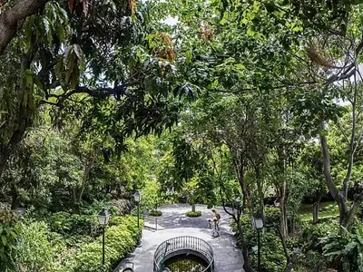 El Jardín Histórico Huerto de las Flores de Agaete: Renovación para el Futuro