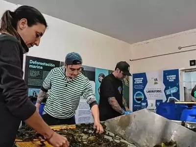 Argentina Lidera la Innovación Marina con la Primera Cosecha de Macroalgas en la Patagonia