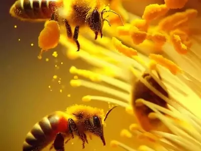 Las Abejas: Centinelas Urbanas de la Calidad Ambiental