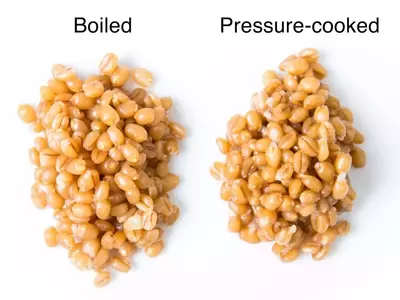 Pressure Cookers and Grains: An Unexpected Outcome