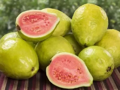 Guayaba: Un Tesoro Tropical de Vitamina C y Tradición Culinaria