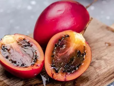 Tamarillo: La Fruta Andina con Impacto en la Salud y la Nutrición